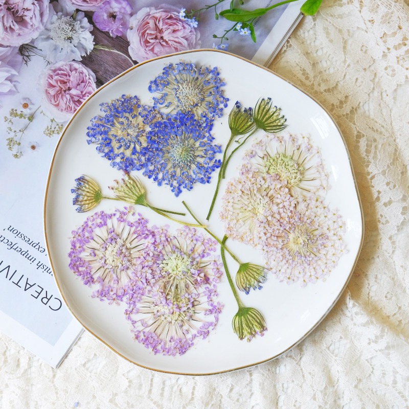 Dried Flower Bookmark - 12 Buah Bunga Mutiara Zamrud Kering