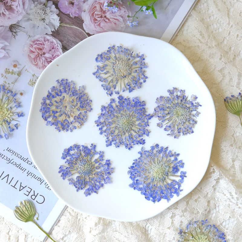12 Buah Bunga Mutiara Zamrud K - Dried Flower Bookmark ulasan dan harga